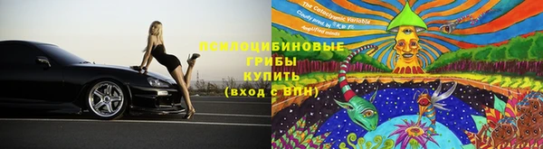 СК Куйбышев