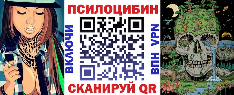 купить наркотики сайты  Куровское  Псилоцибиновые грибы Psilocybine cubensis 